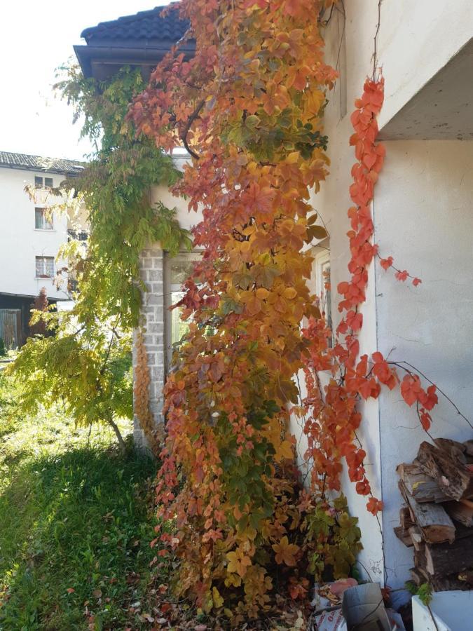 Locanda Rondolost Cencenighe Zewnętrze zdjęcie