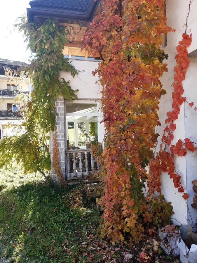Locanda Rondolost Cencenighe Zewnętrze zdjęcie
